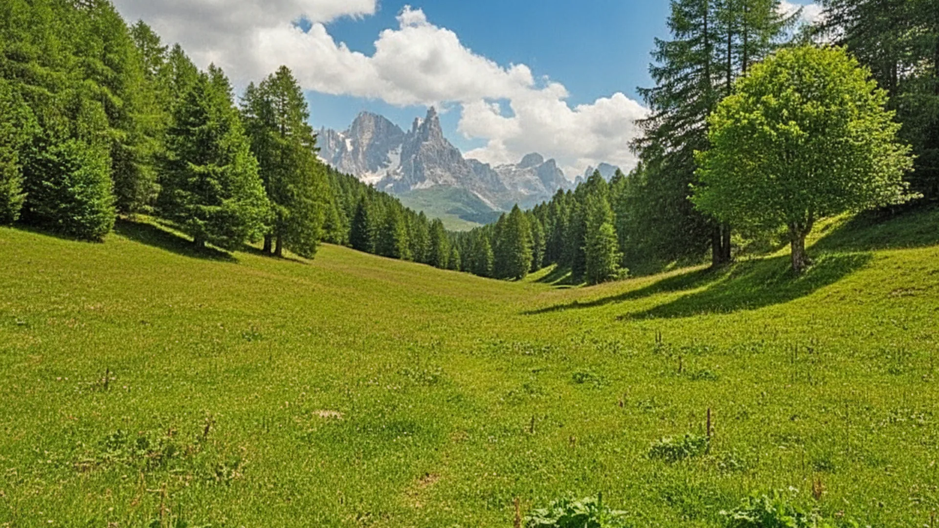Alpe Lusia — trento